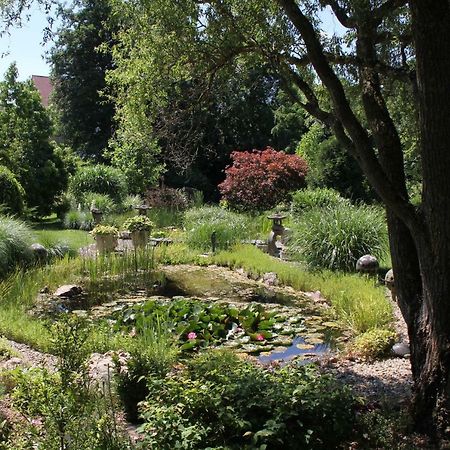 Fewo - Wohlfuehlambiente & Gartenparadies Modautal Exteriér fotografie