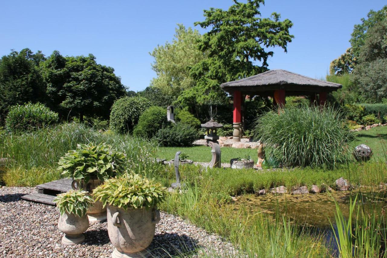 Fewo - Wohlfuehlambiente & Gartenparadies Modautal Exteriér fotografie
