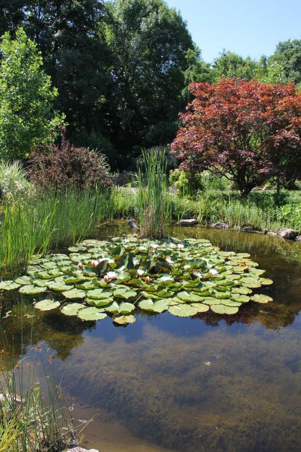 Fewo - Wohlfuehlambiente & Gartenparadies Modautal Exteriér fotografie