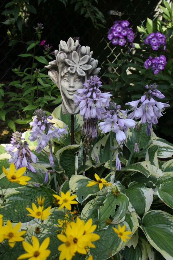Fewo - Wohlfuehlambiente & Gartenparadies Modautal Exteriér fotografie