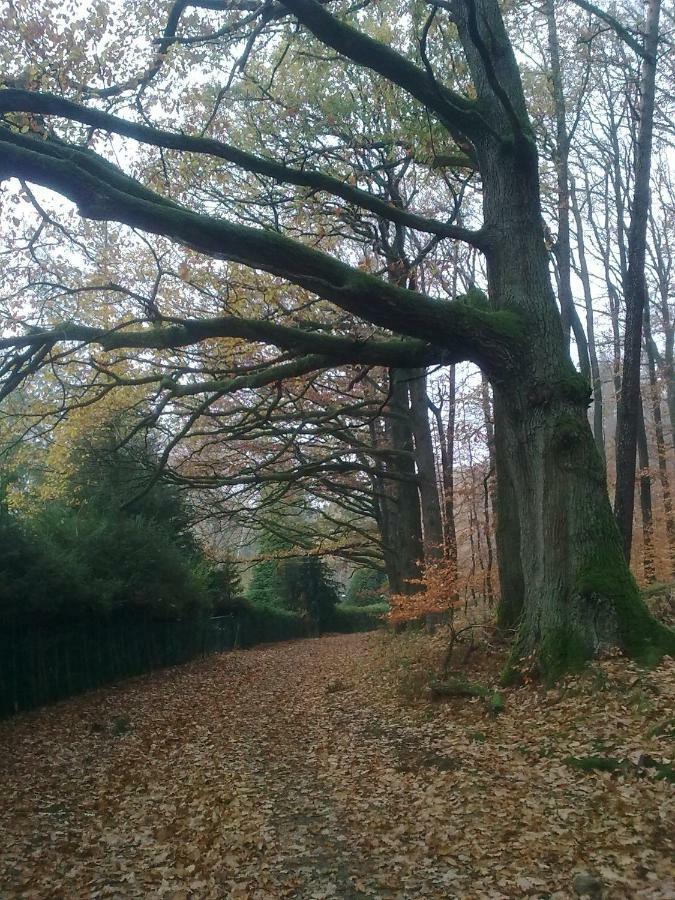 Fewo - Wohlfuehlambiente & Gartenparadies Modautal Exteriér fotografie