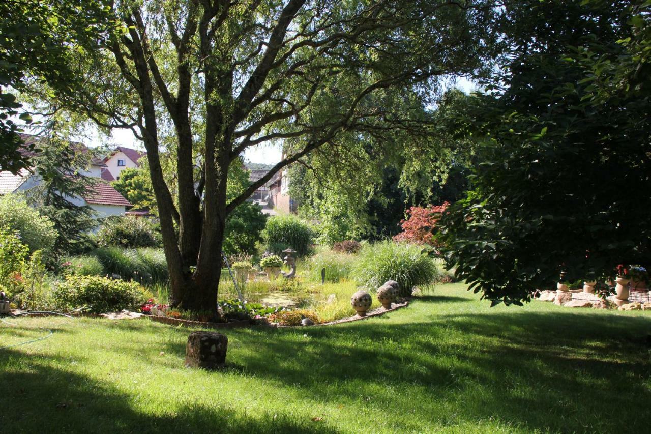 Fewo - Wohlfuehlambiente & Gartenparadies Modautal Exteriér fotografie